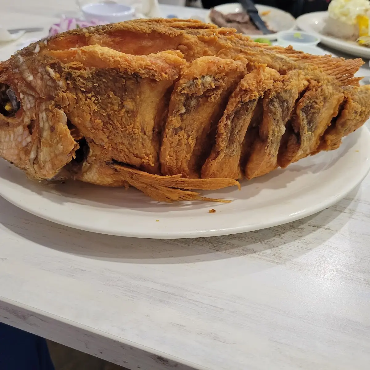 Red Snapper