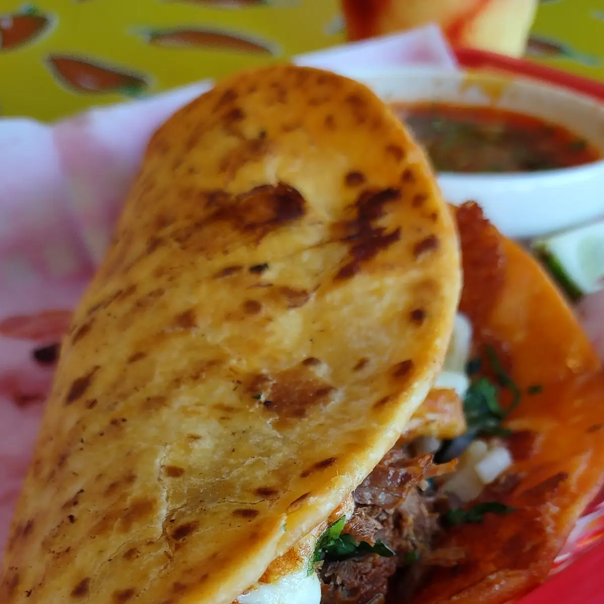 Cheese Quesadilla