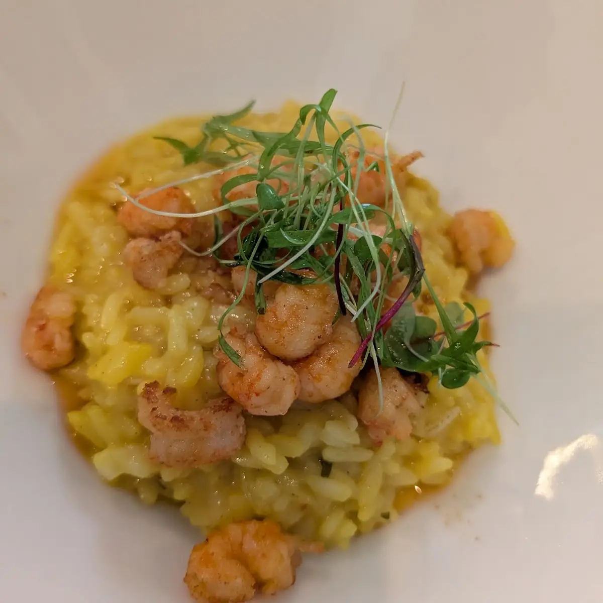 Risotto Du Jour