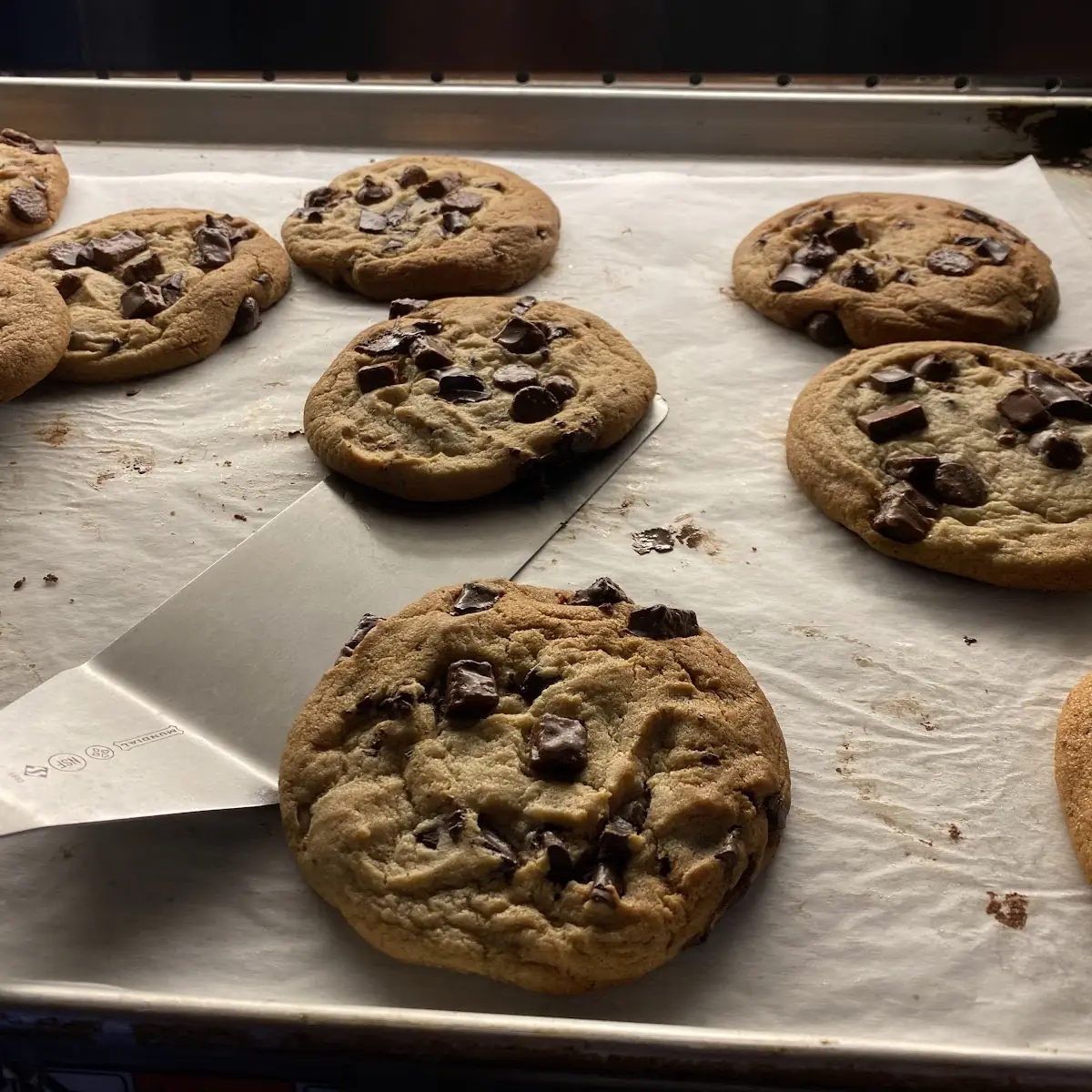 Chocolate Chip Cookie