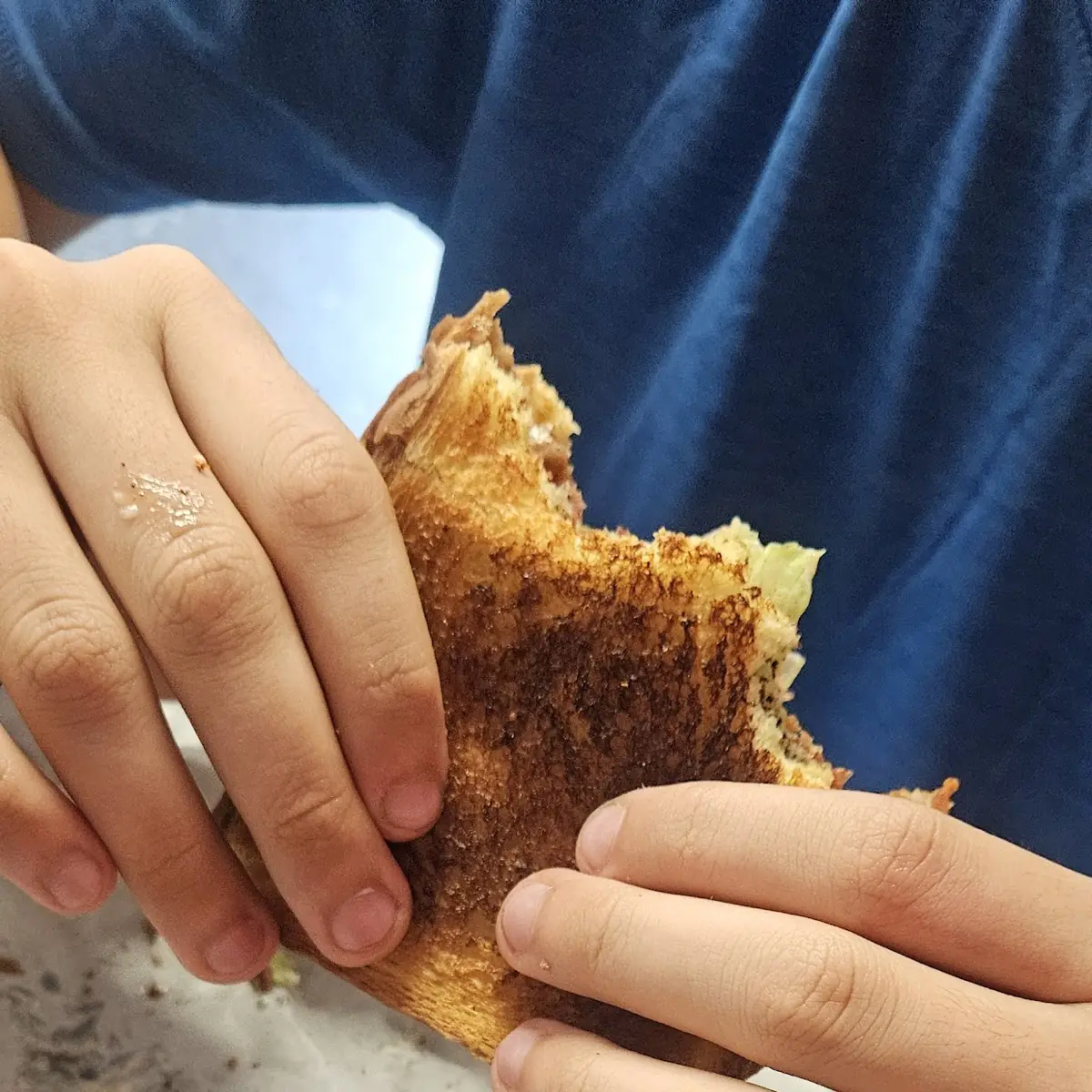 Mozzarella Sticks