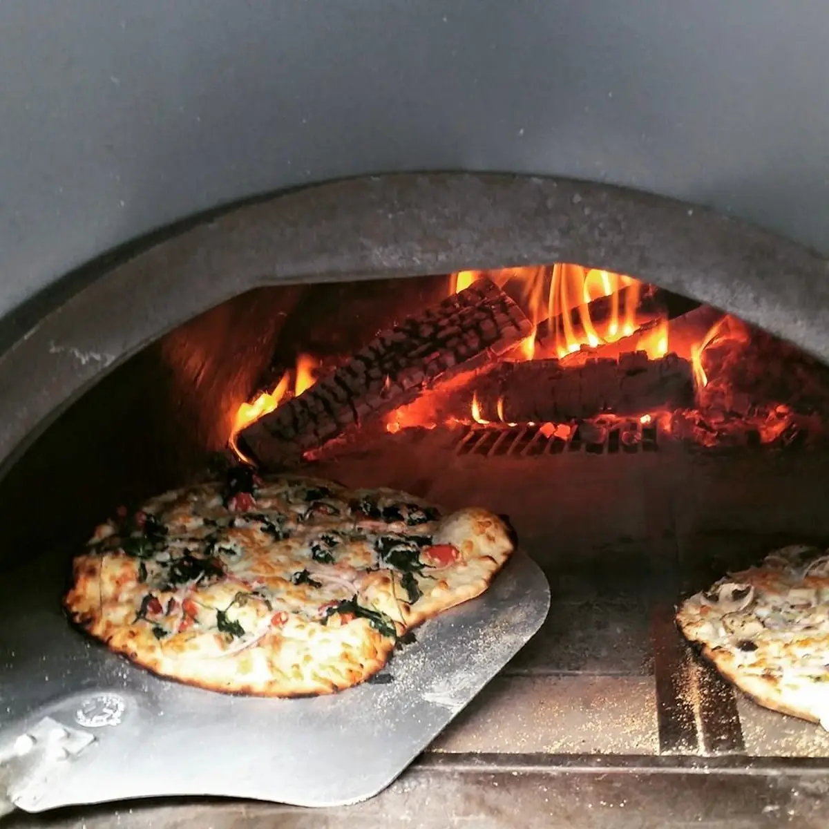 Wood-Fired Oven Pizza