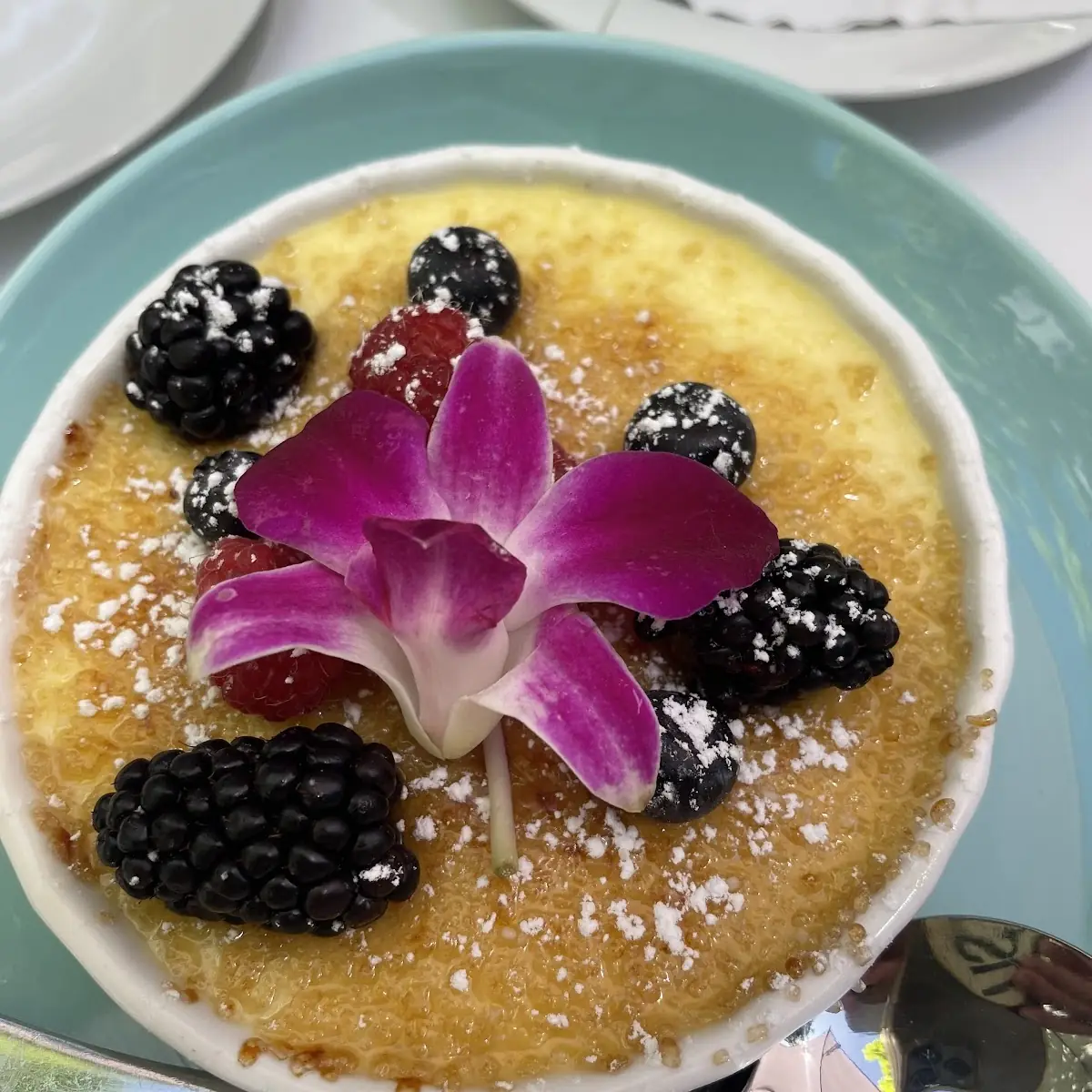 Creme Brulee