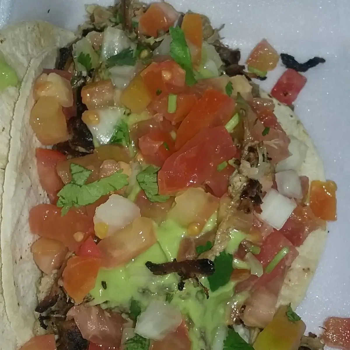 Carnitas Taco