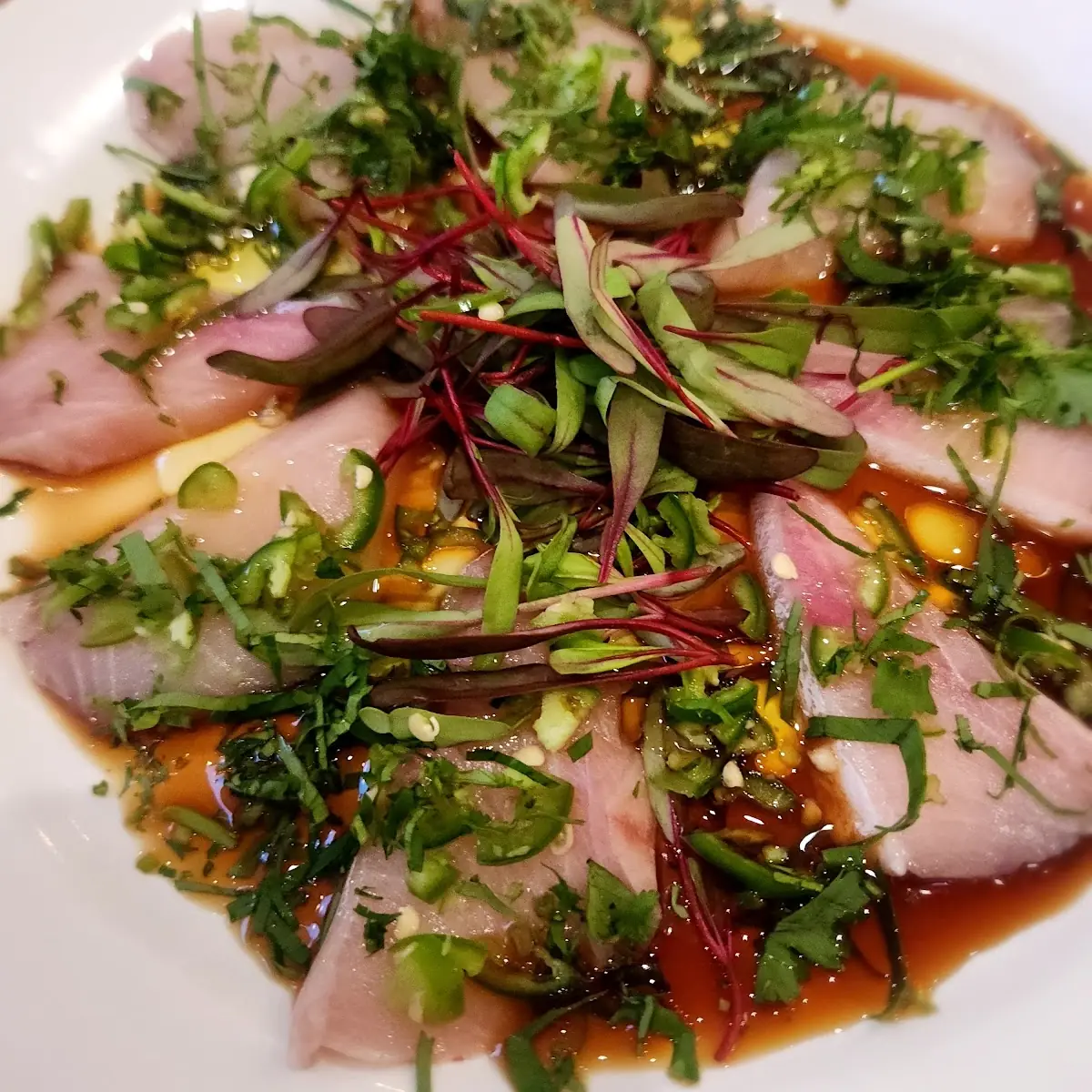 Yellowtail Hamachi