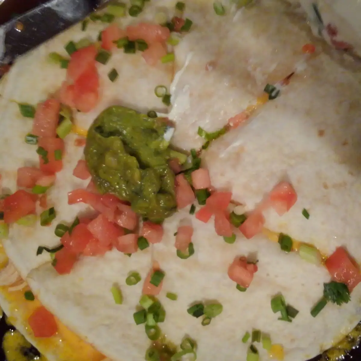 Chicken Quesadilla