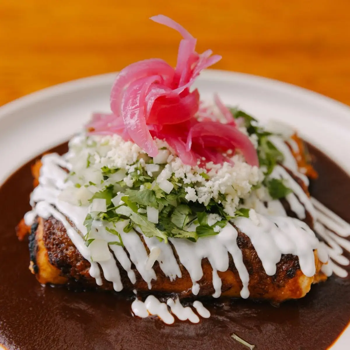 Dark Mole Poblano Enchilada Dish