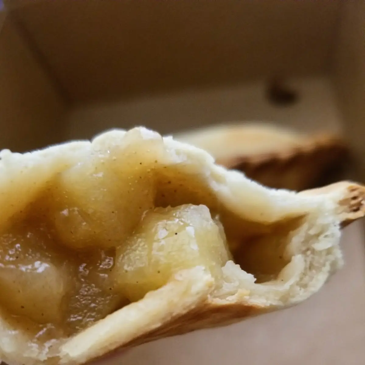 Apple Empanada