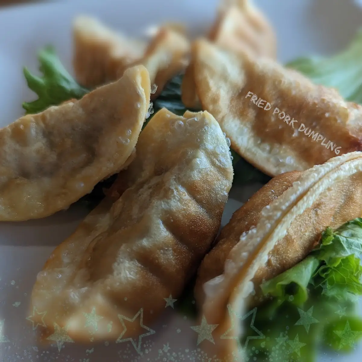 Steamed or Fried Pork Dumplings