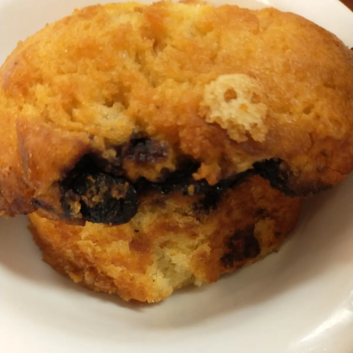 Blueberry Muffin