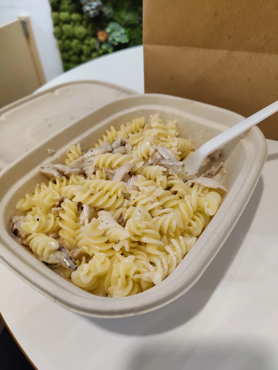Penne Alfredo Pasta
