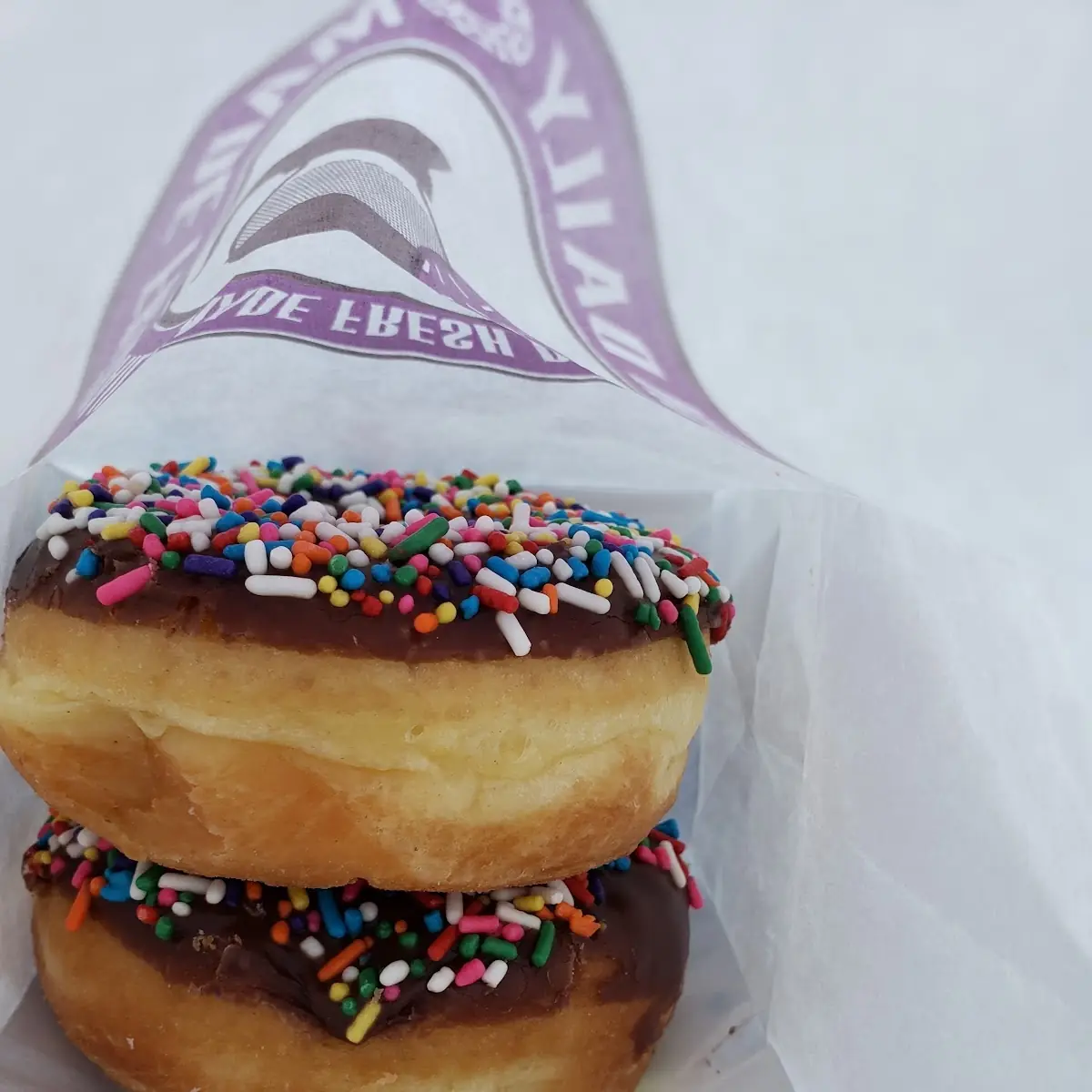 Chocolate Covered Donut with Sprinkles