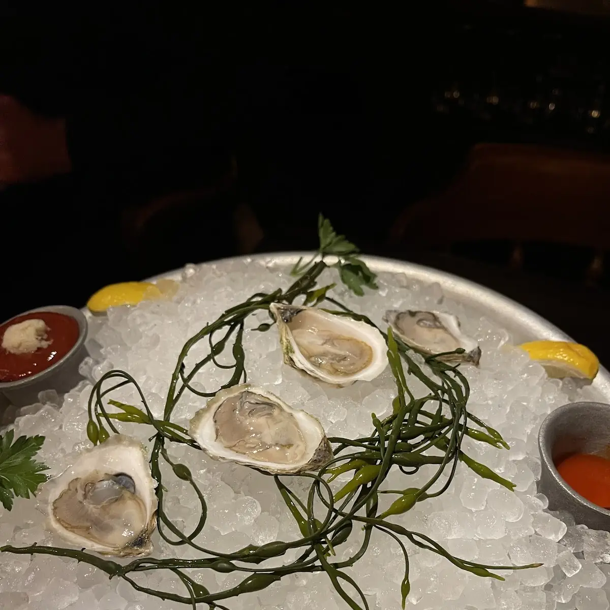 Fresh Oysters