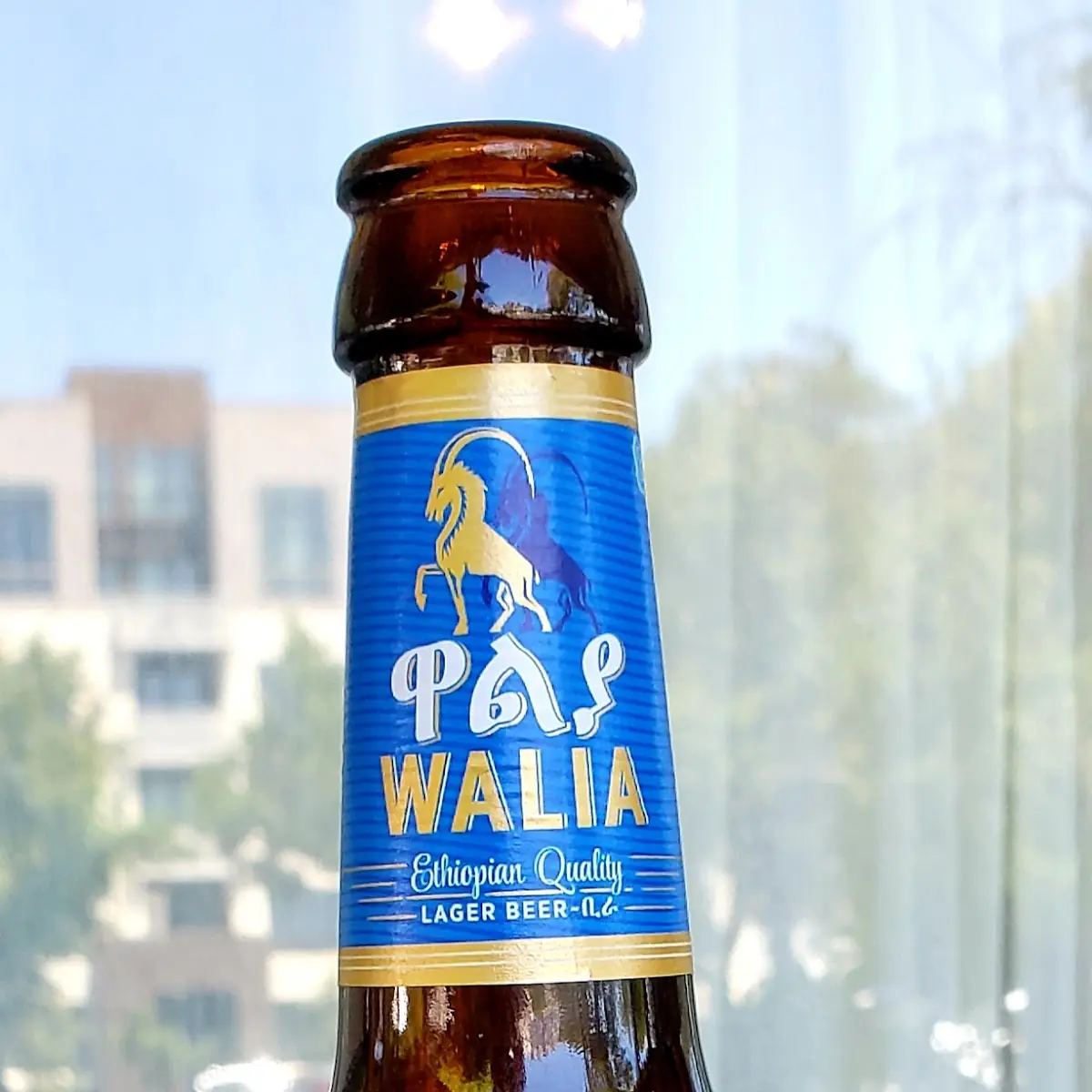 Ethiopian Beer