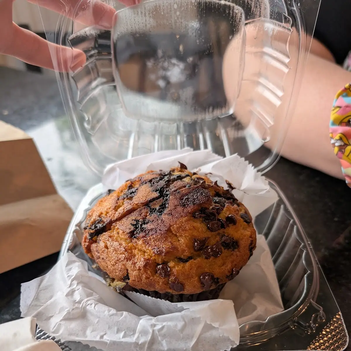 Blueberry Muffin