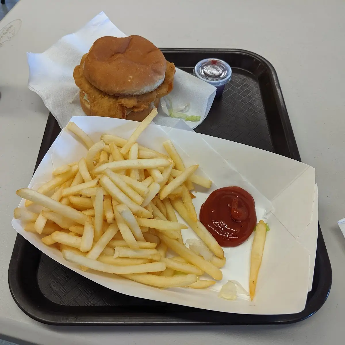 Chicken Sandwich and Fries