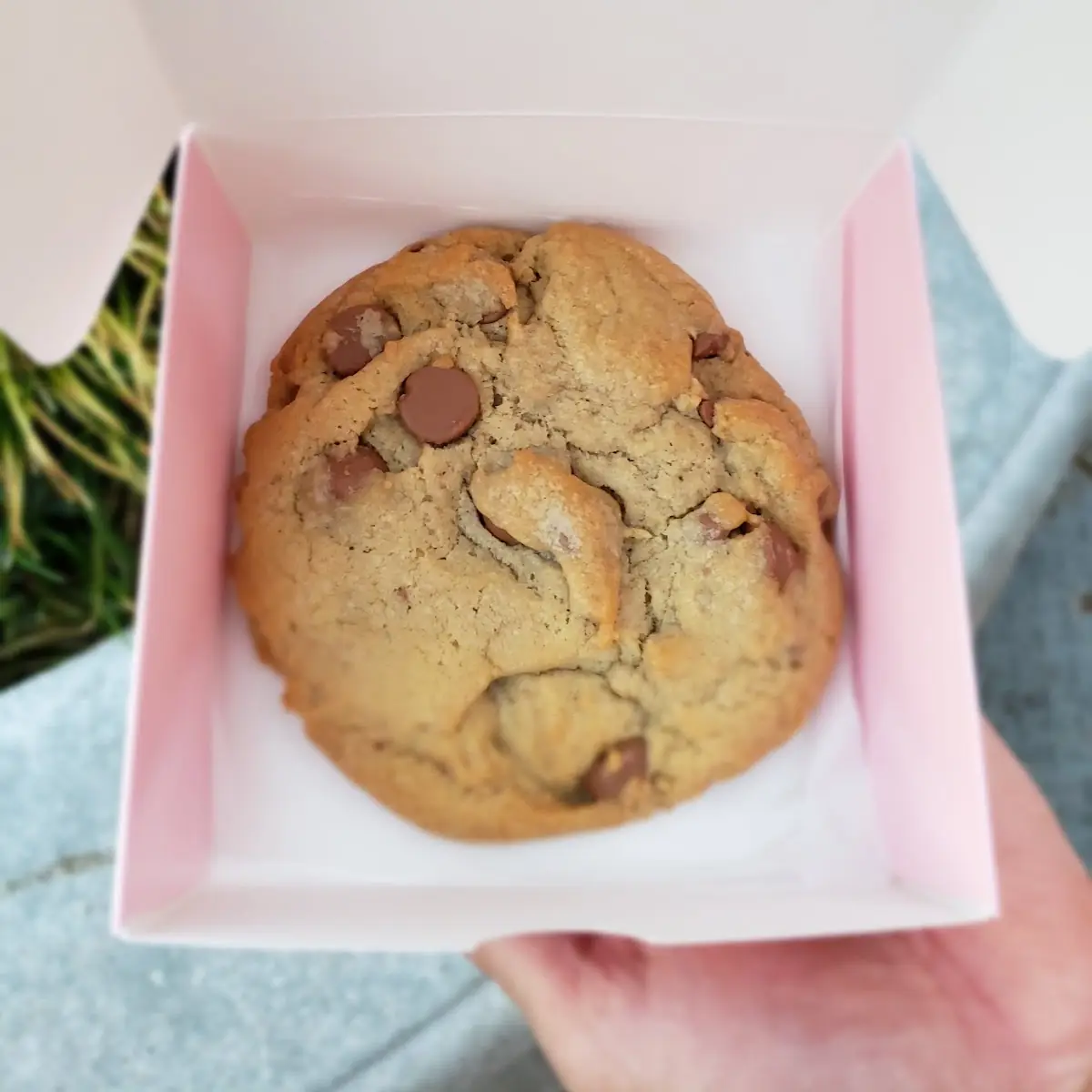 Chocolate Chip Cookies