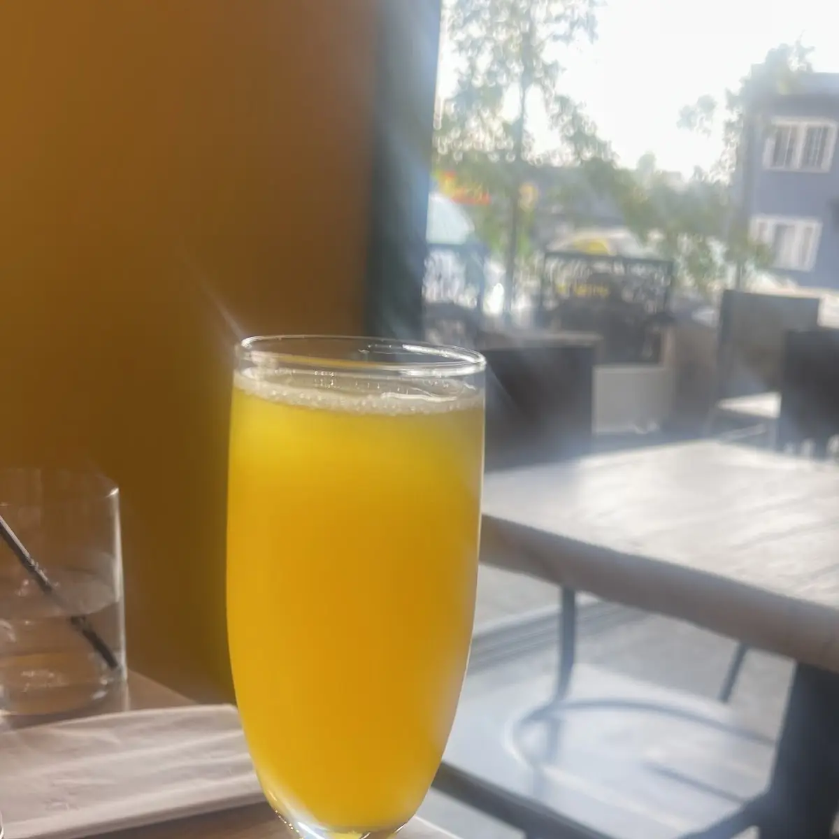 Mimosa Flight