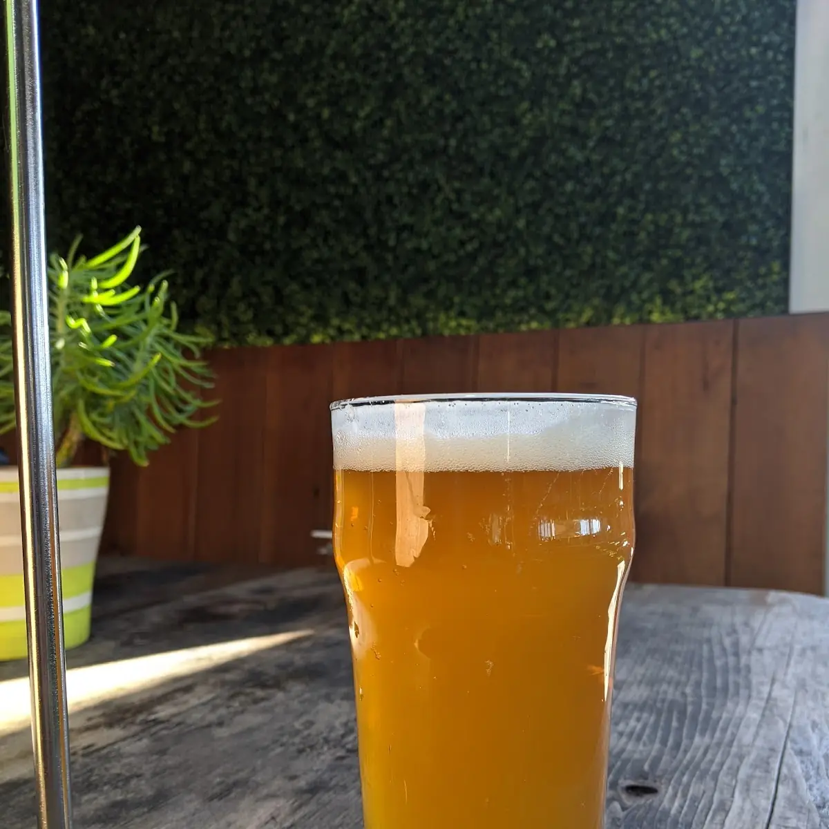 West Coast Pilsner Beer