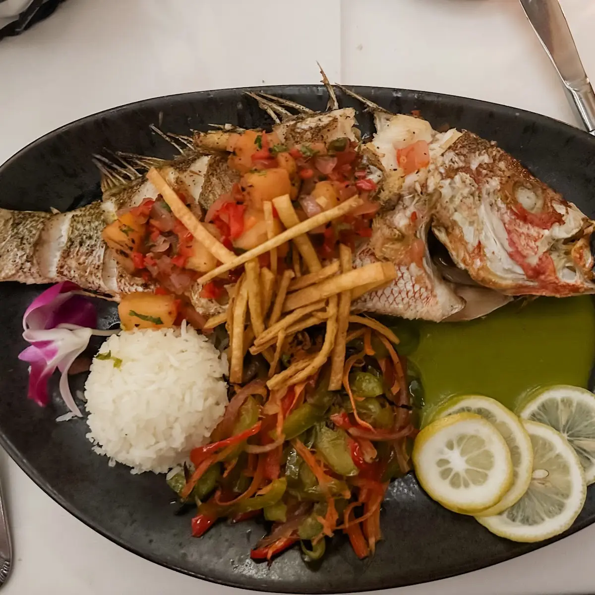 Whole Key West Yellowtail Snapper