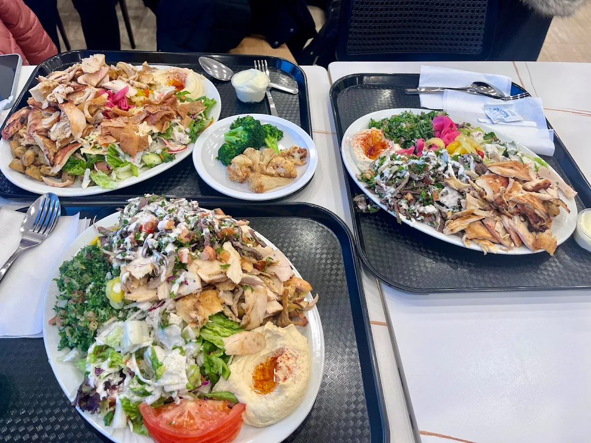 Highlights, Le palais libanais aylmer