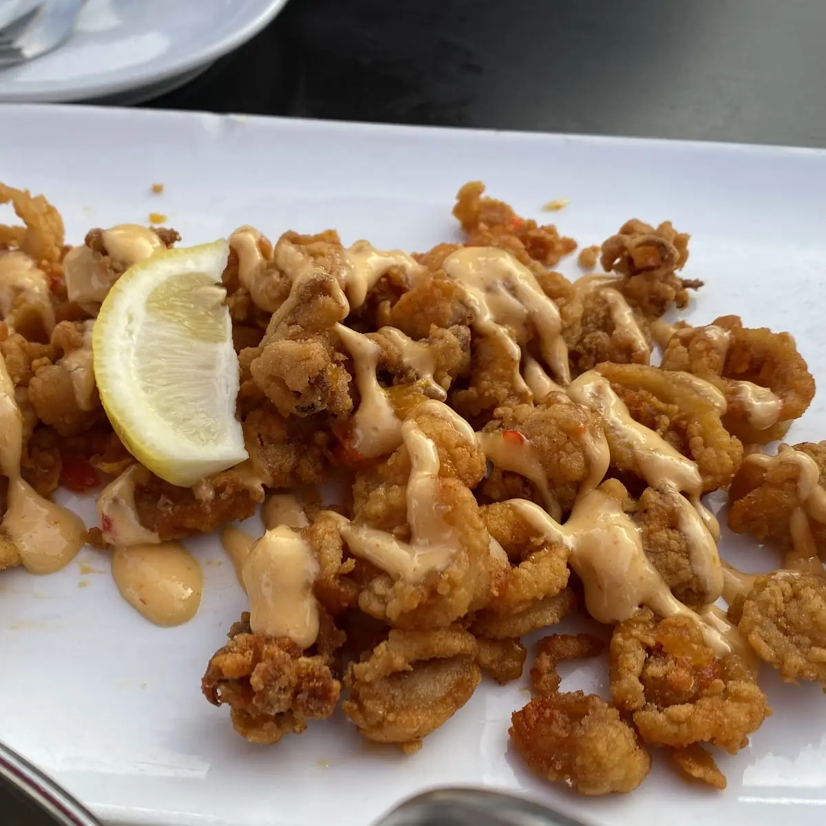 NE Crispy Calamari