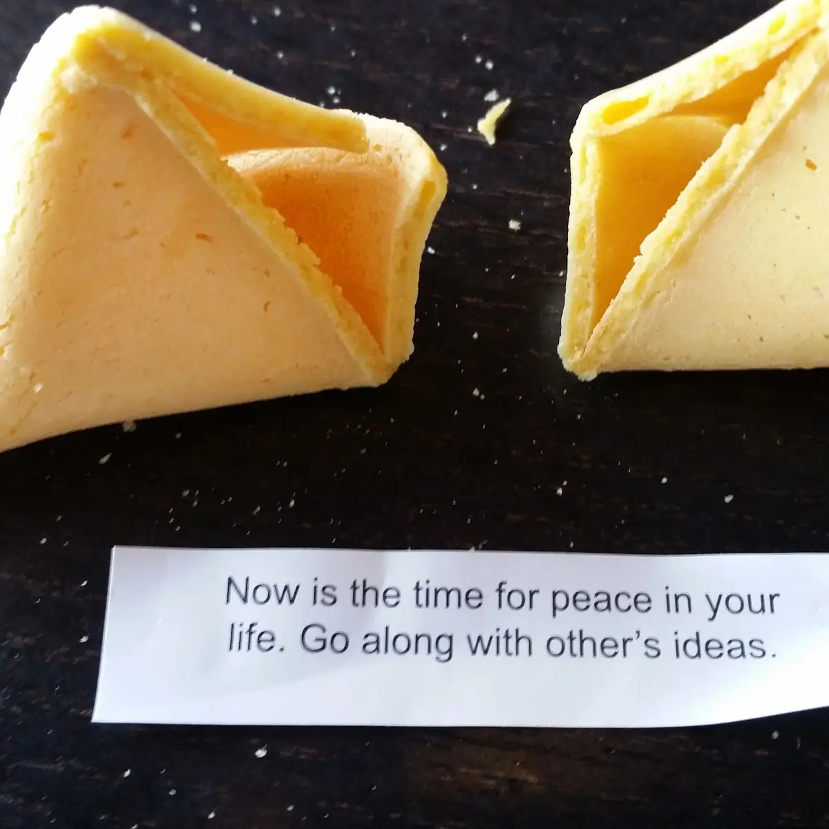 12 Fortune Cookies