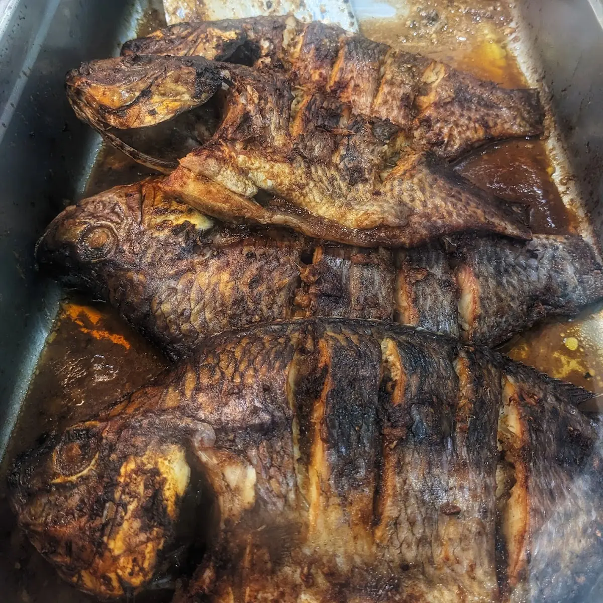 Whole Grilled Tilapia