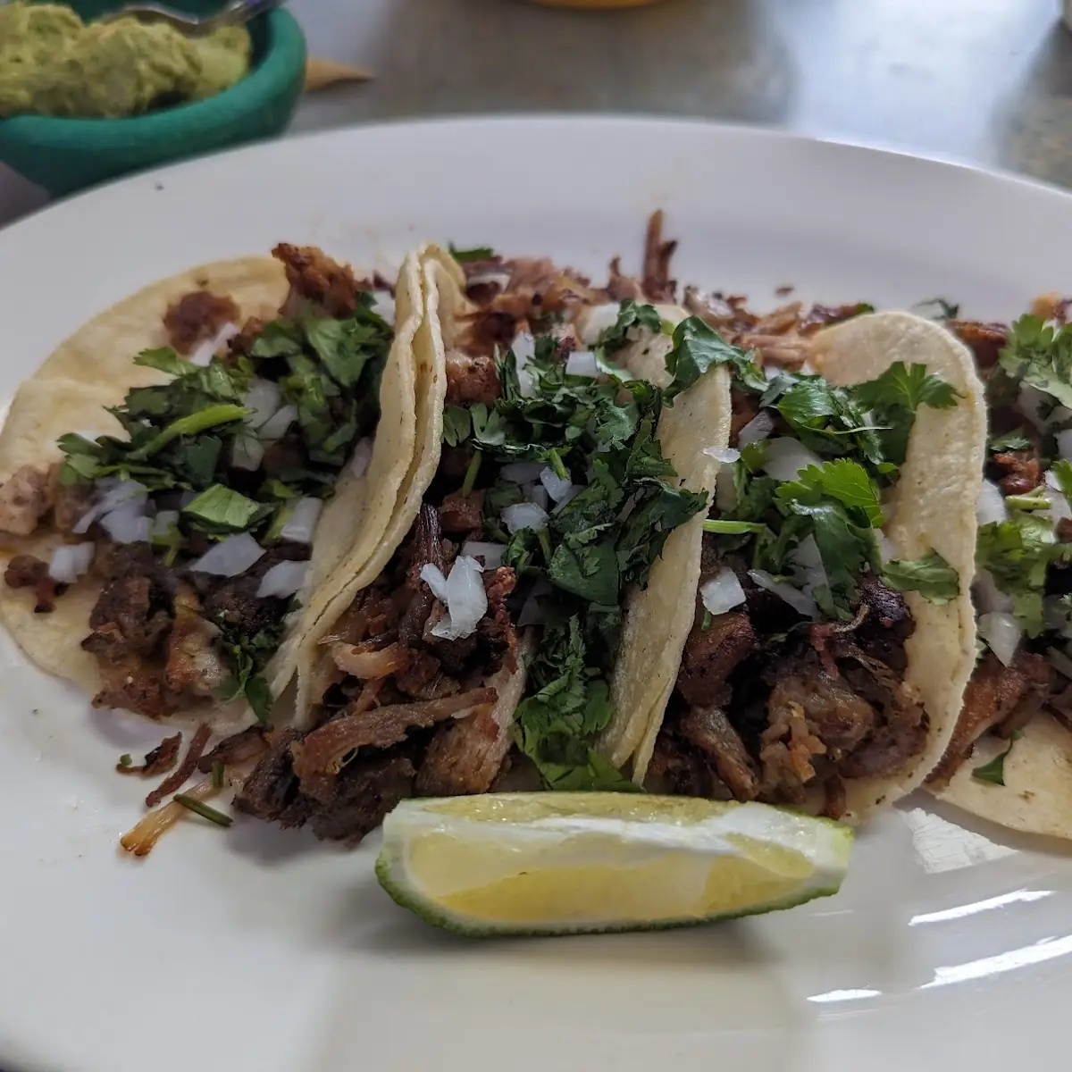 Carnitas Tacos