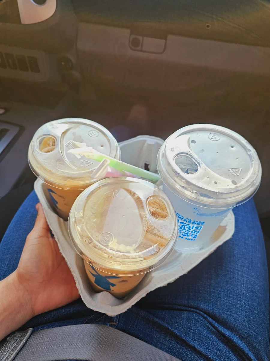Iced Vanilla Protein Latte