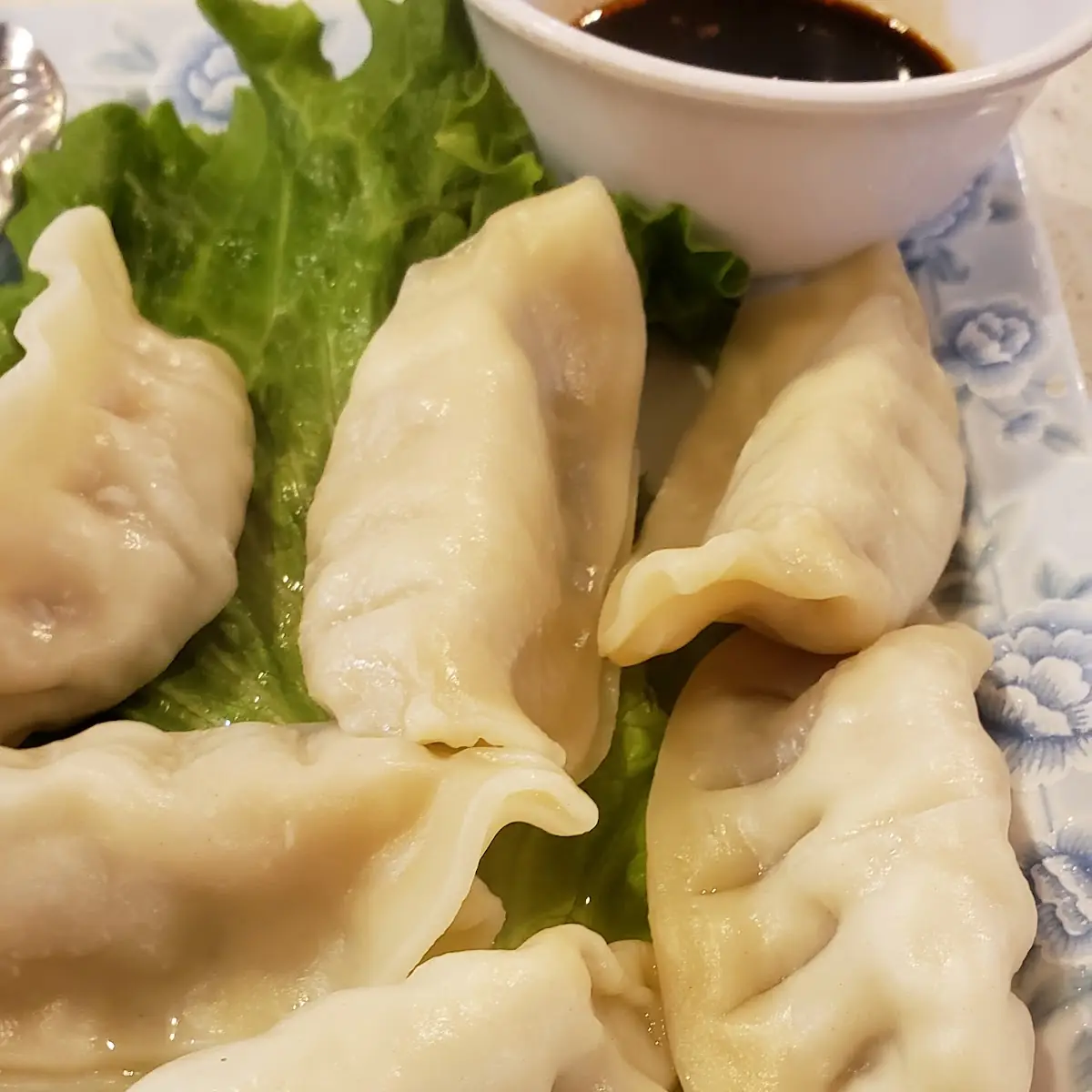 Steamed Dumplings