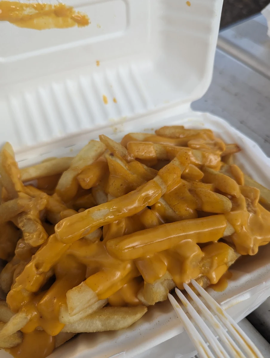 Loaded Cheese Fries