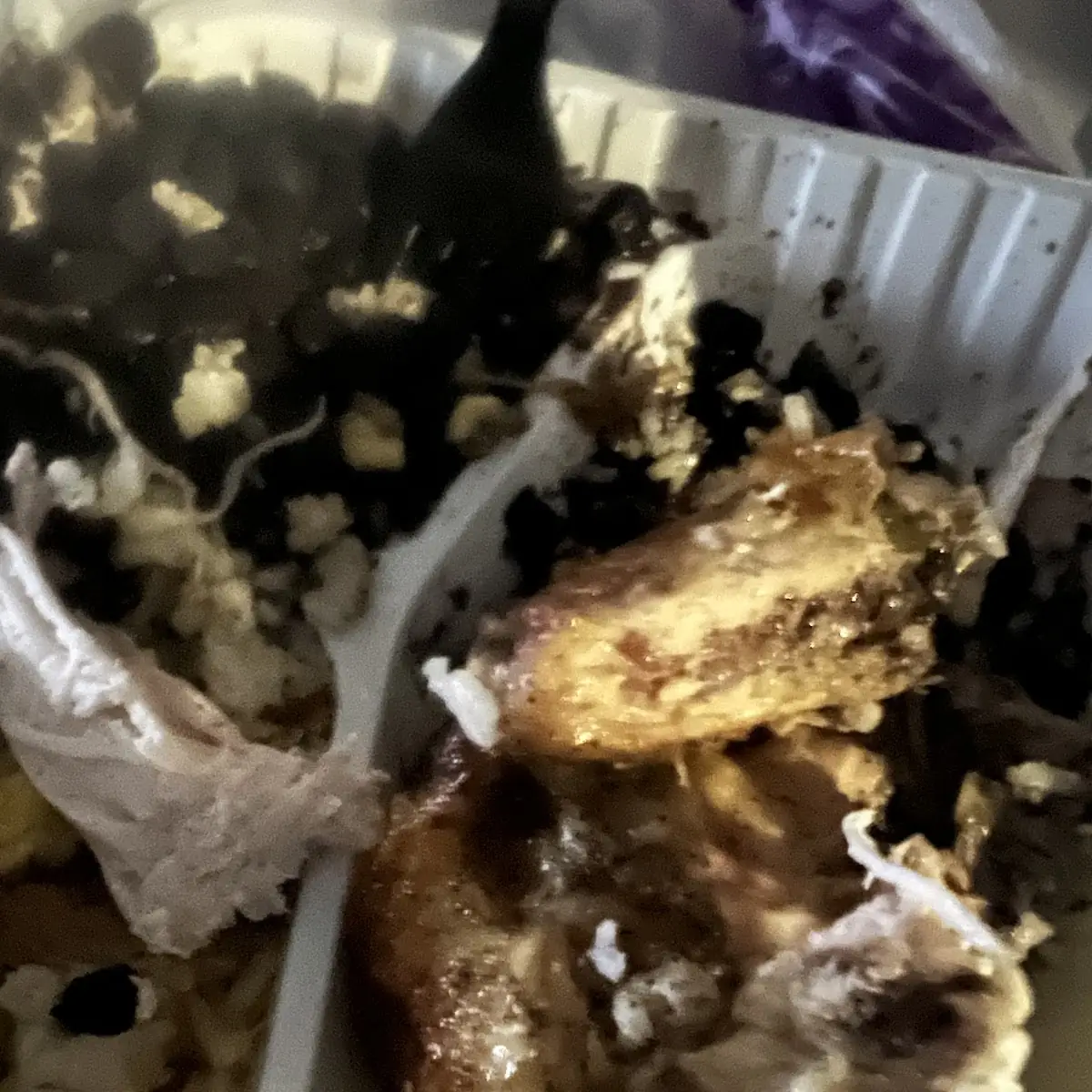Chicken Fried Rice Chicken