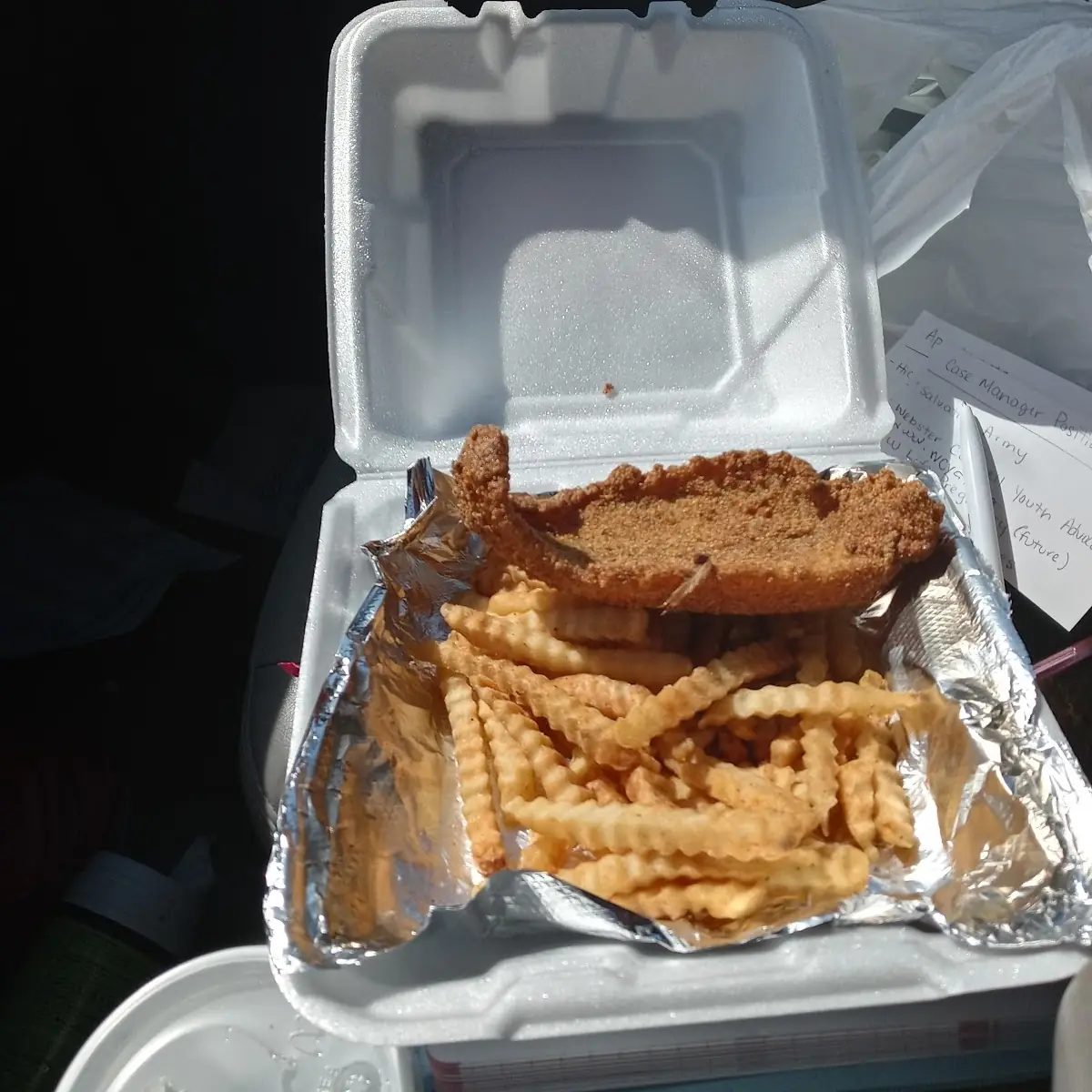 Catfish Fillet
