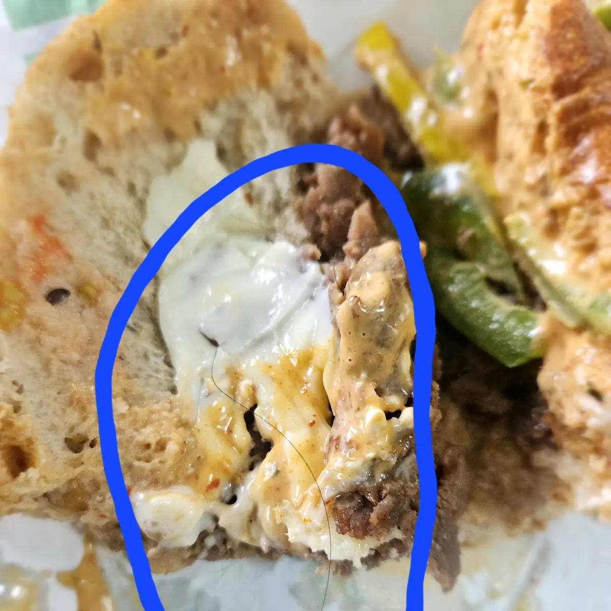 Hair in Sandwich