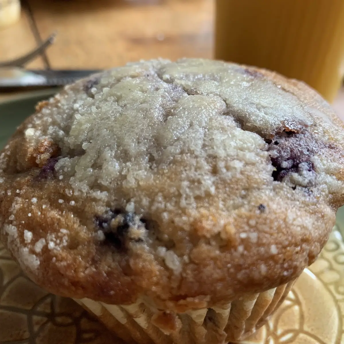 Blueberry Muffin