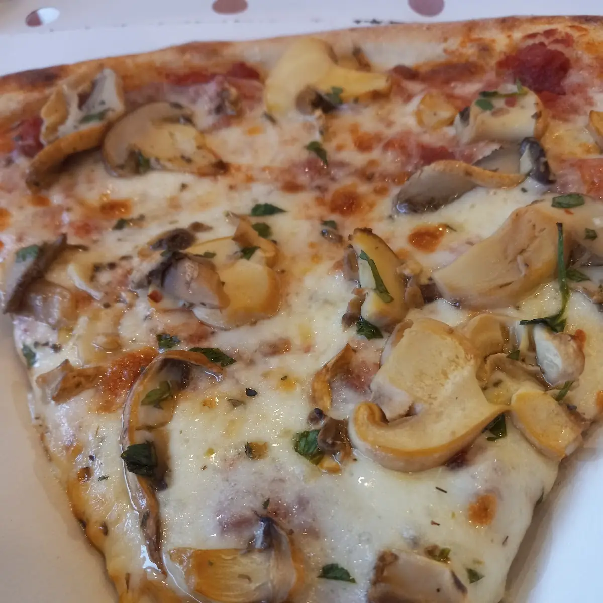 Mushroom Pizza