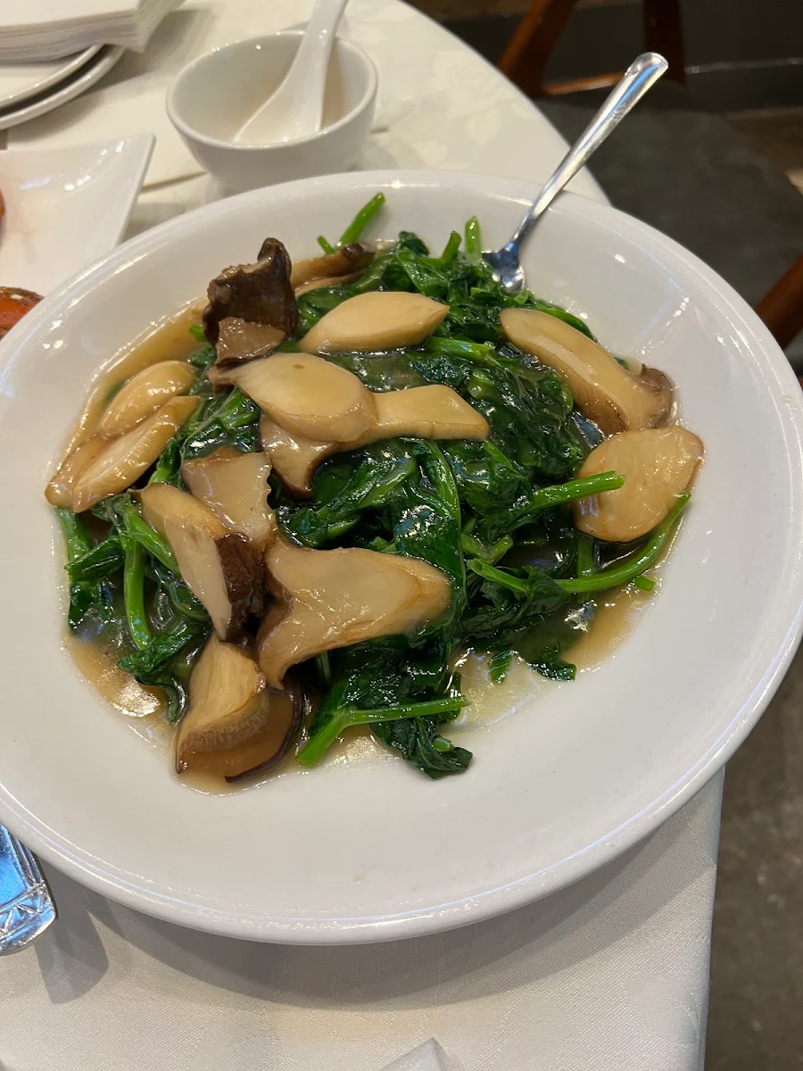 Fish Fillet with Snow Pea Leaves & King Oyster Mushroom, 漁港灣 Lobster Harbour