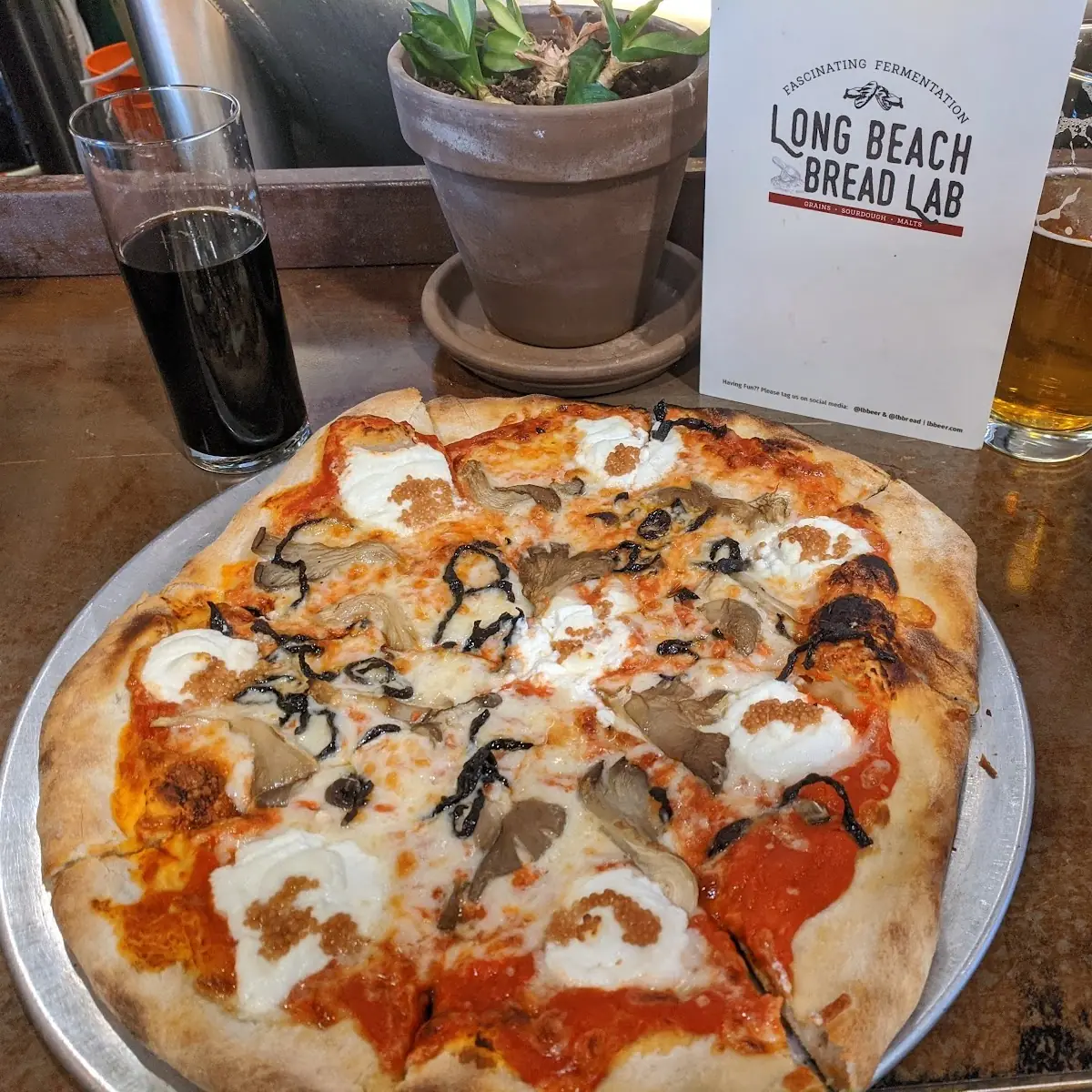 Wild Mushroom with Ricotta Pizza
