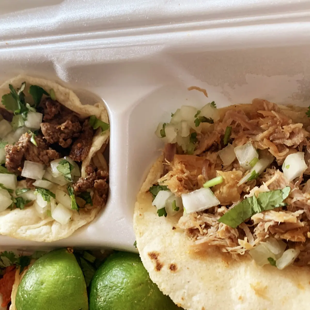 Steak and Carnitas Tacos