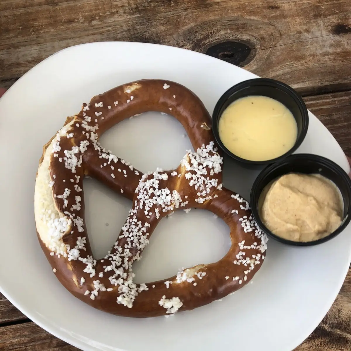 Bavarian Style Soft Pretzels