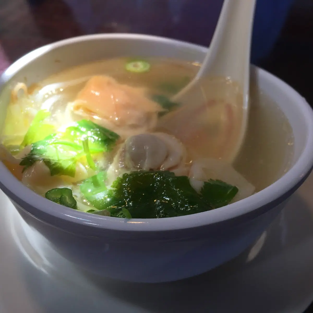 Wonton Soup