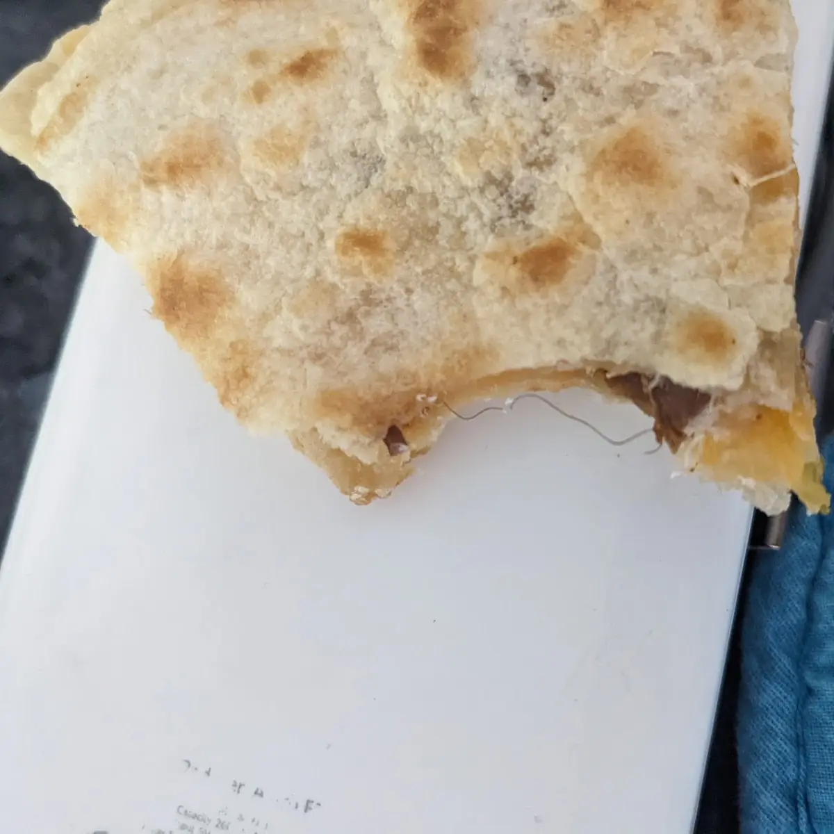Steak Quesadilla