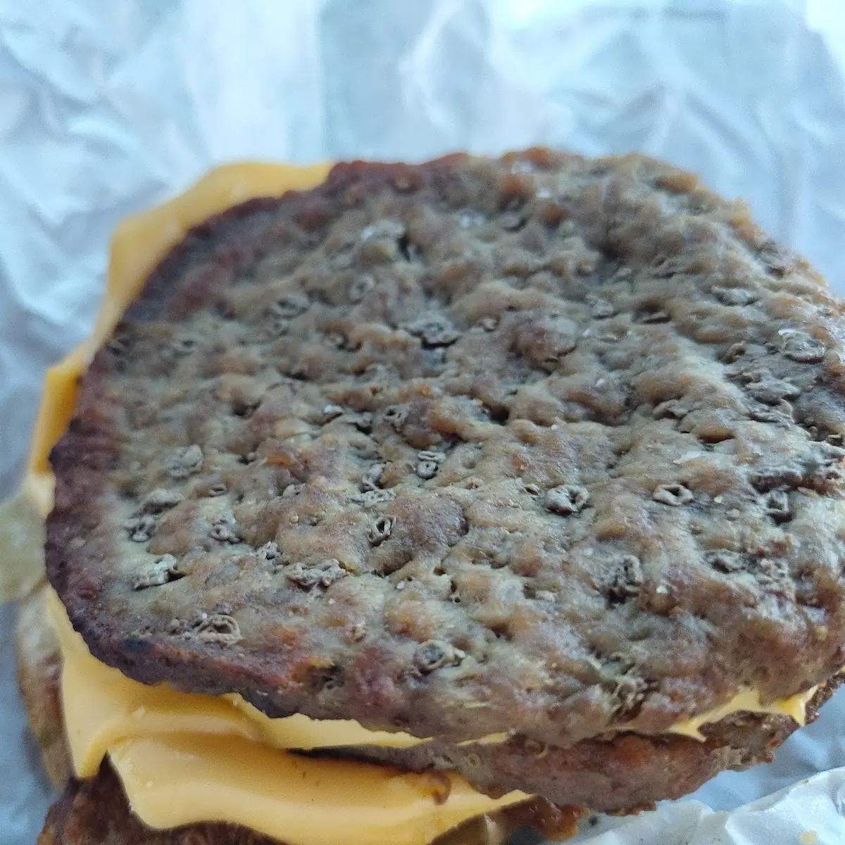 Patty Melt Burger