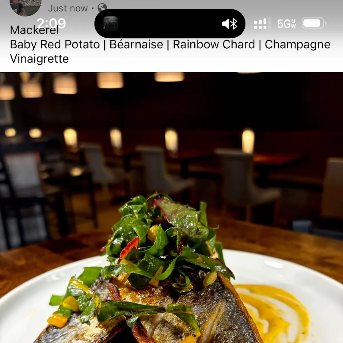 Seared Striped Bass