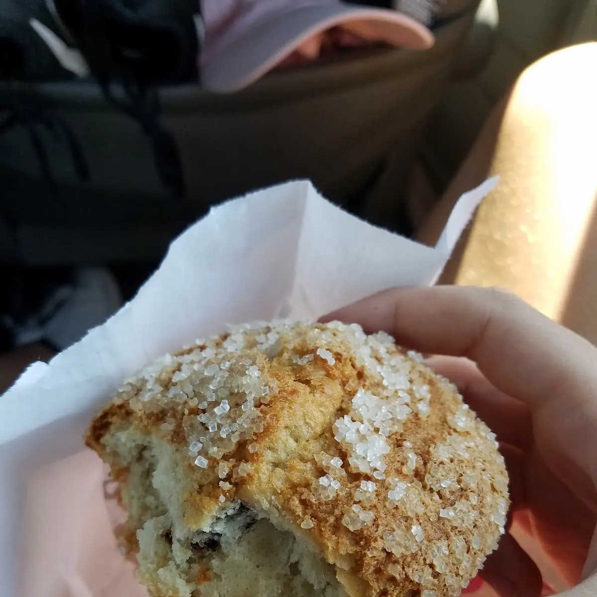Blueberry Muffin