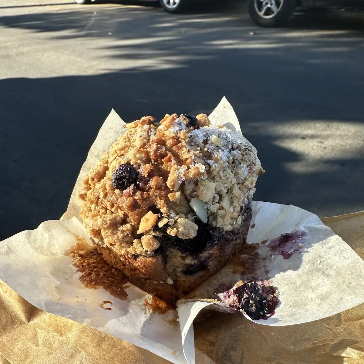 Blueberry Muffin