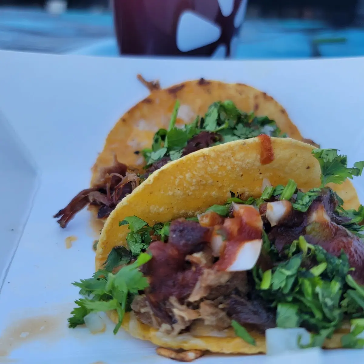 Carnitas Tacos