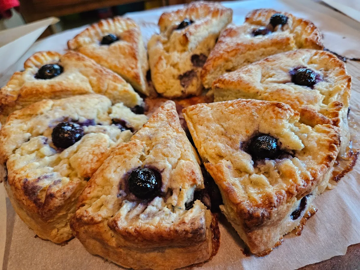 Fresh Scones