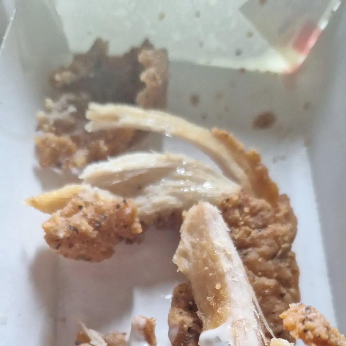 Dried Azz Chicken Tenders